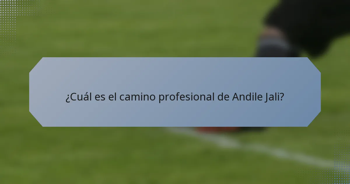 ¿Cuál es el camino profesional de Andile Jali?