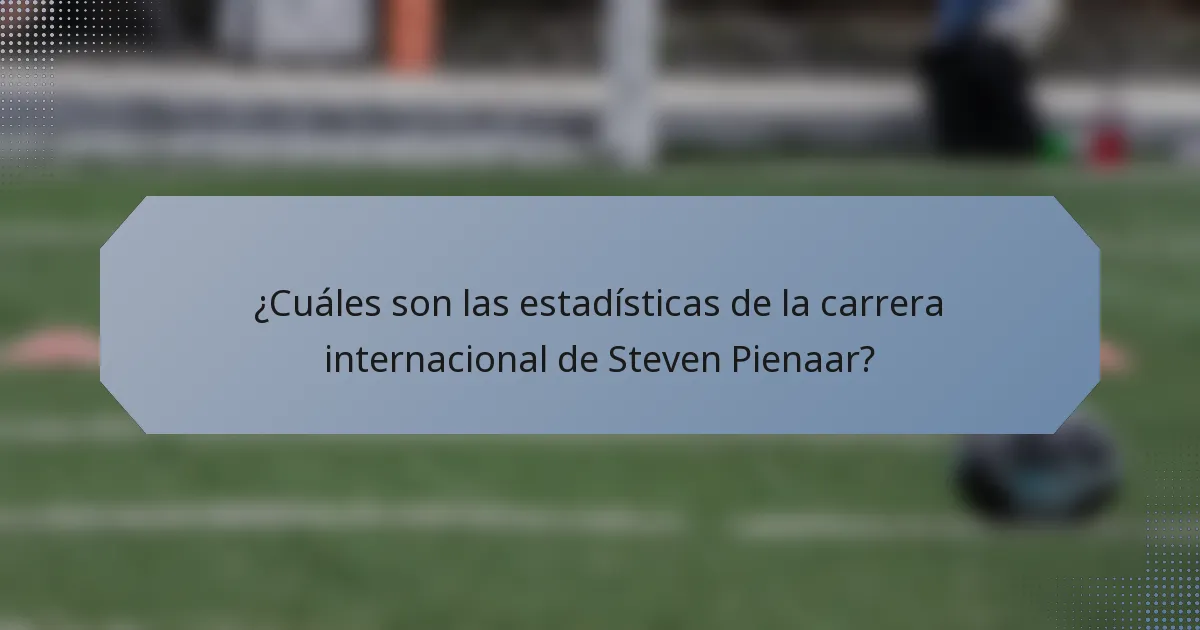 ¿Cuáles son las estadísticas de la carrera internacional de Steven Pienaar?