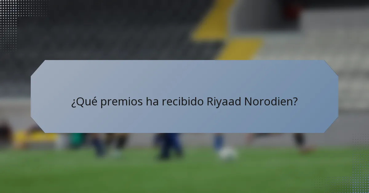 ¿Qué premios ha recibido Riyaad Norodien?